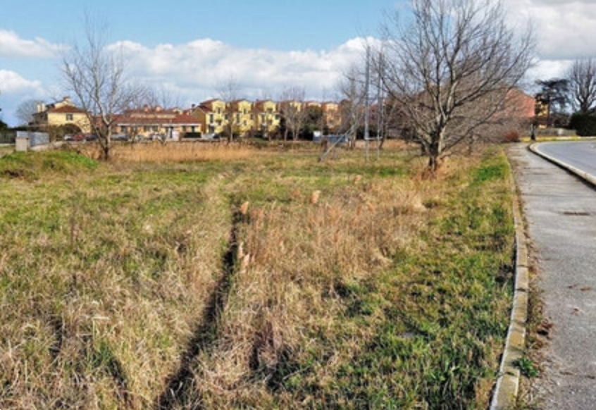 immagine annuncio 2 di 13