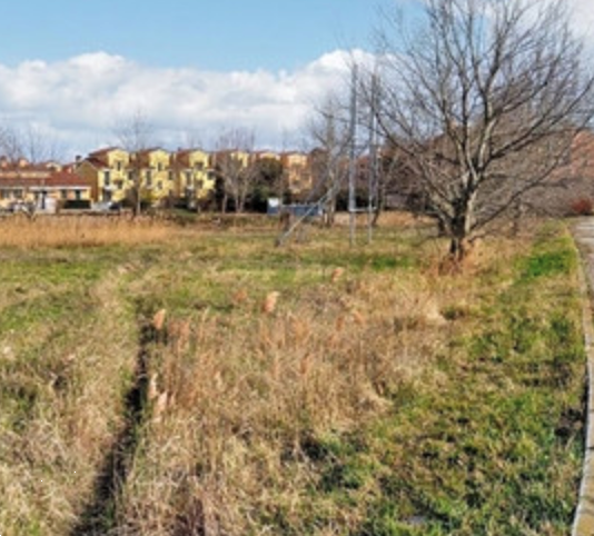 immagine annuncio 4 di 13