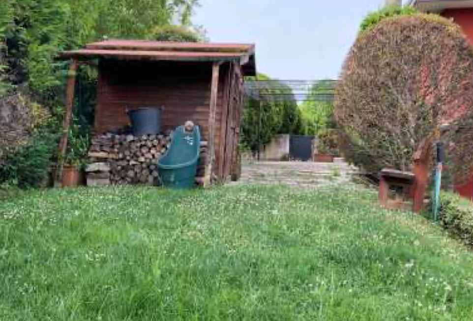 immagine annuncio 12 di 13