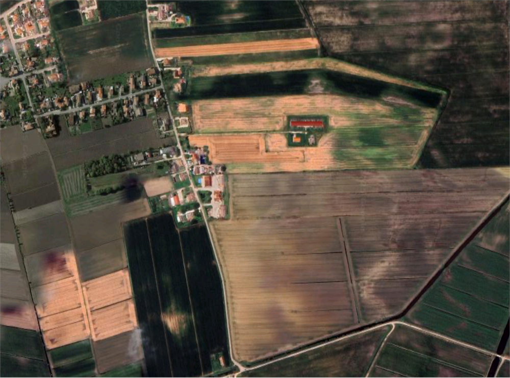 immagine annuncio 9 di 13