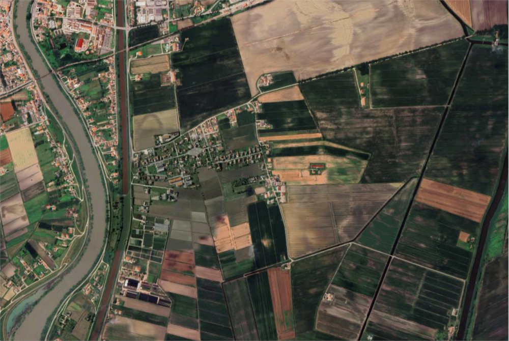 immagine annuncio 10 di 13