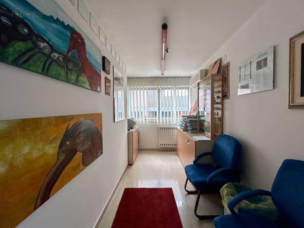 immagine annuncio 5 di 13