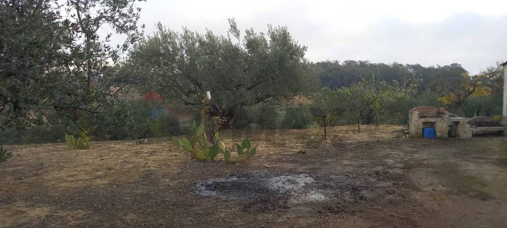 immagine annuncio 10 di 13