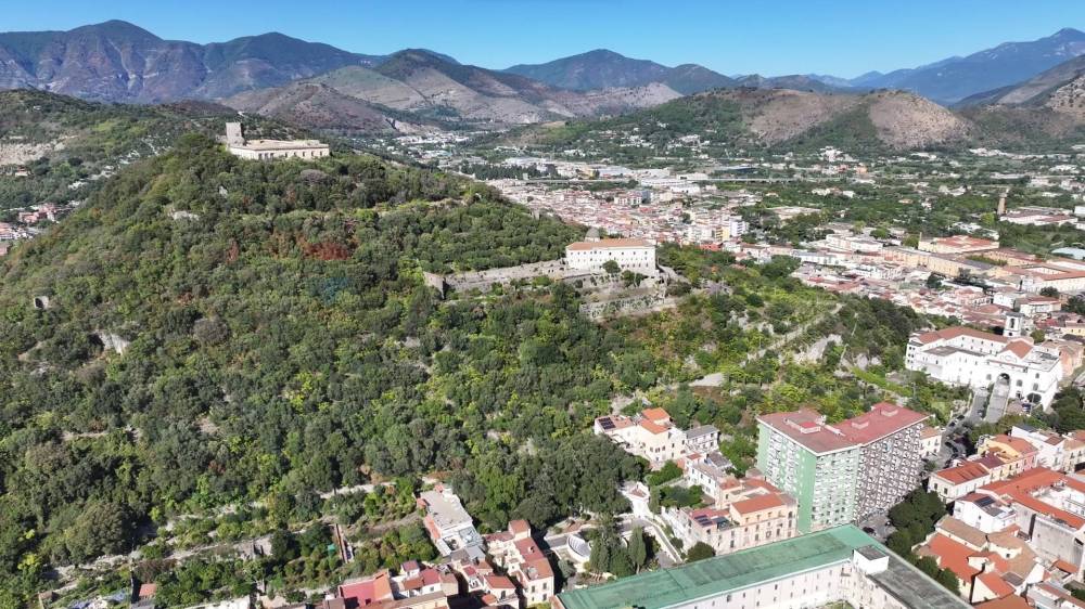 immagine annuncio 5 di 11