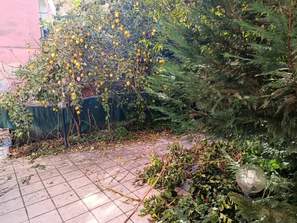 immagine annuncio 6 di 7