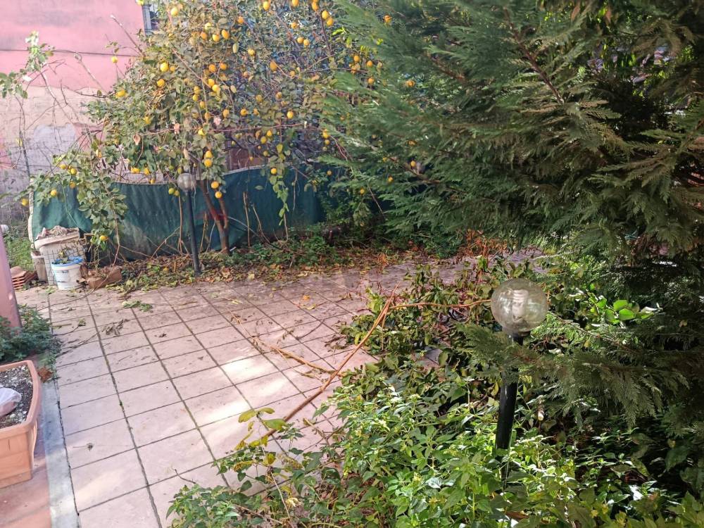 immagine annuncio 5 di 7