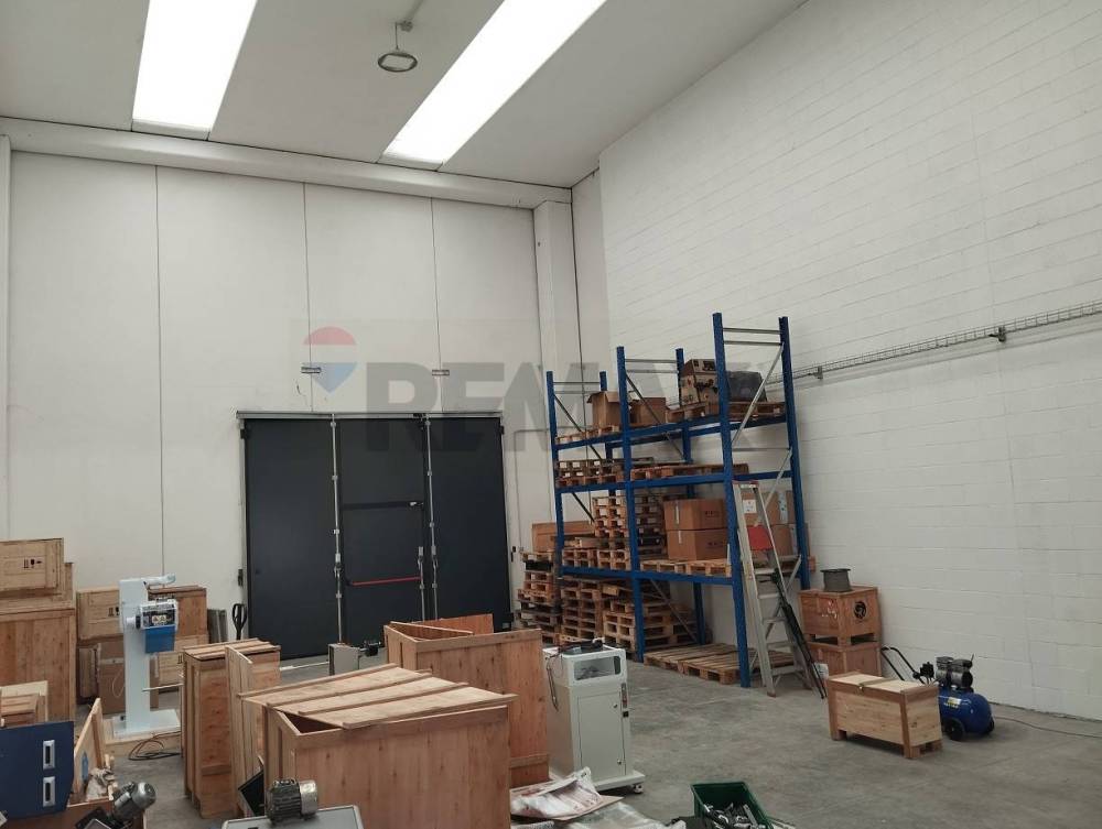 immagine annuncio 4 di 13