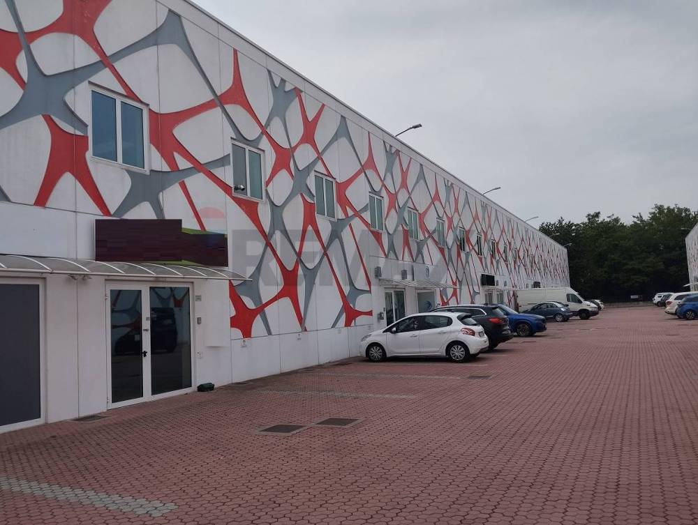 immagine annuncio 2 di 13