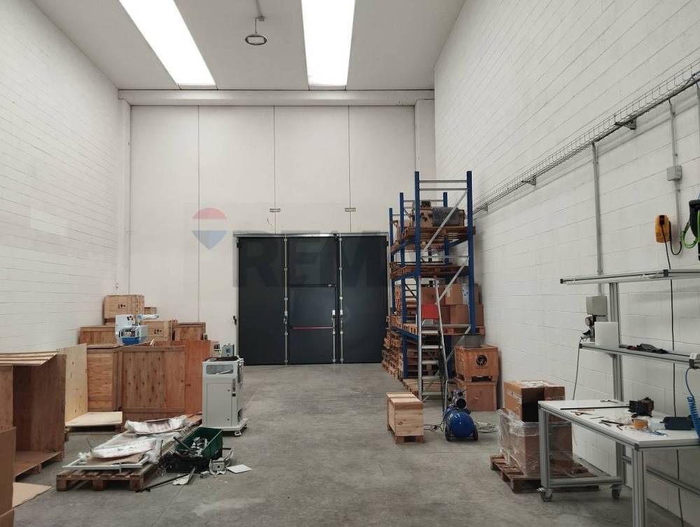 immagine annuncio 5 di 13