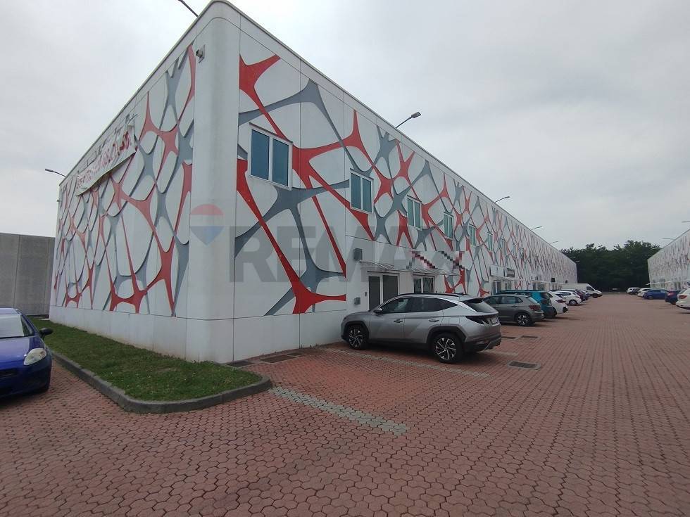 immagine annuncio 12 di 13