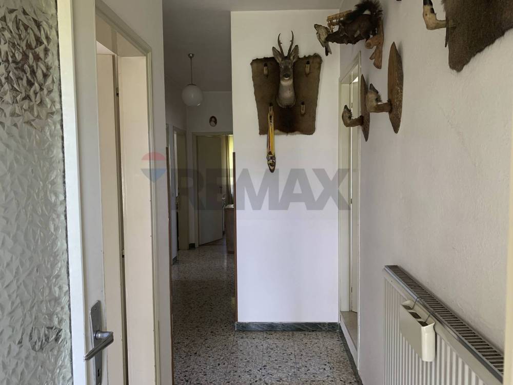 immagine annuncio 7 di 13