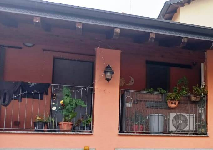 immagine annuncio 2 di 13