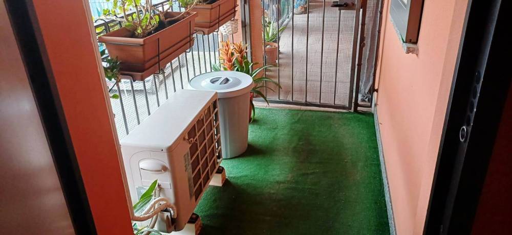 immagine annuncio 5 di 13