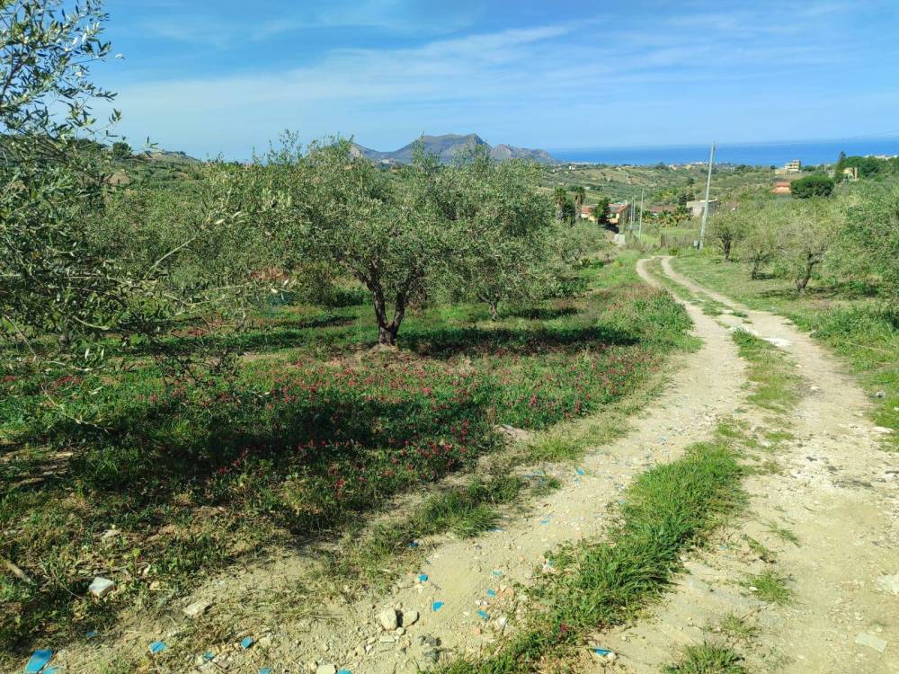 immagine annuncio 1 di 9