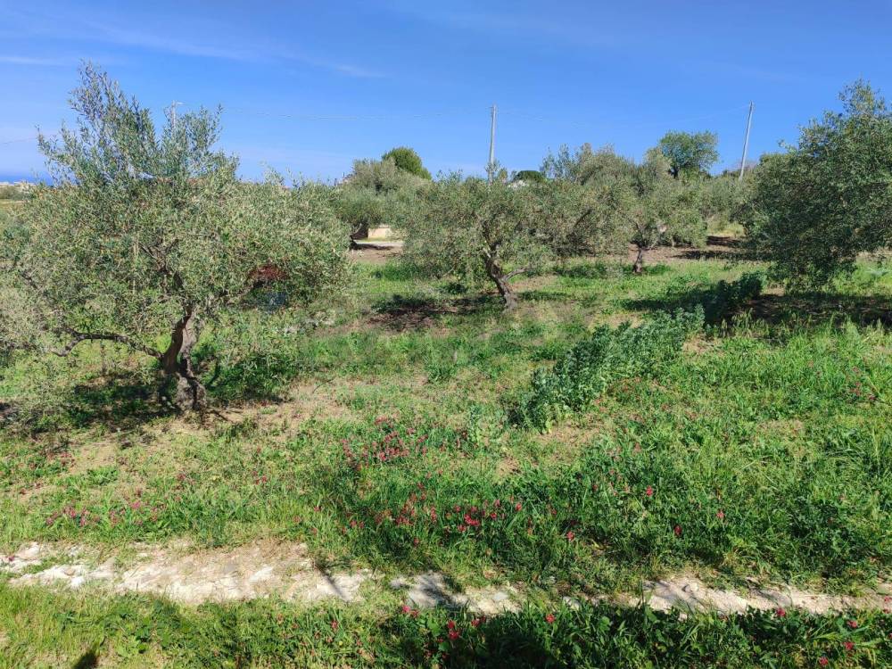 immagine annuncio 3 di 9