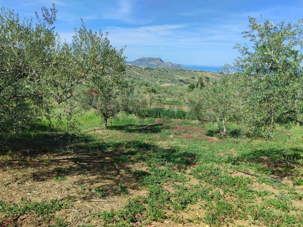 immagine annuncio 4 di 9