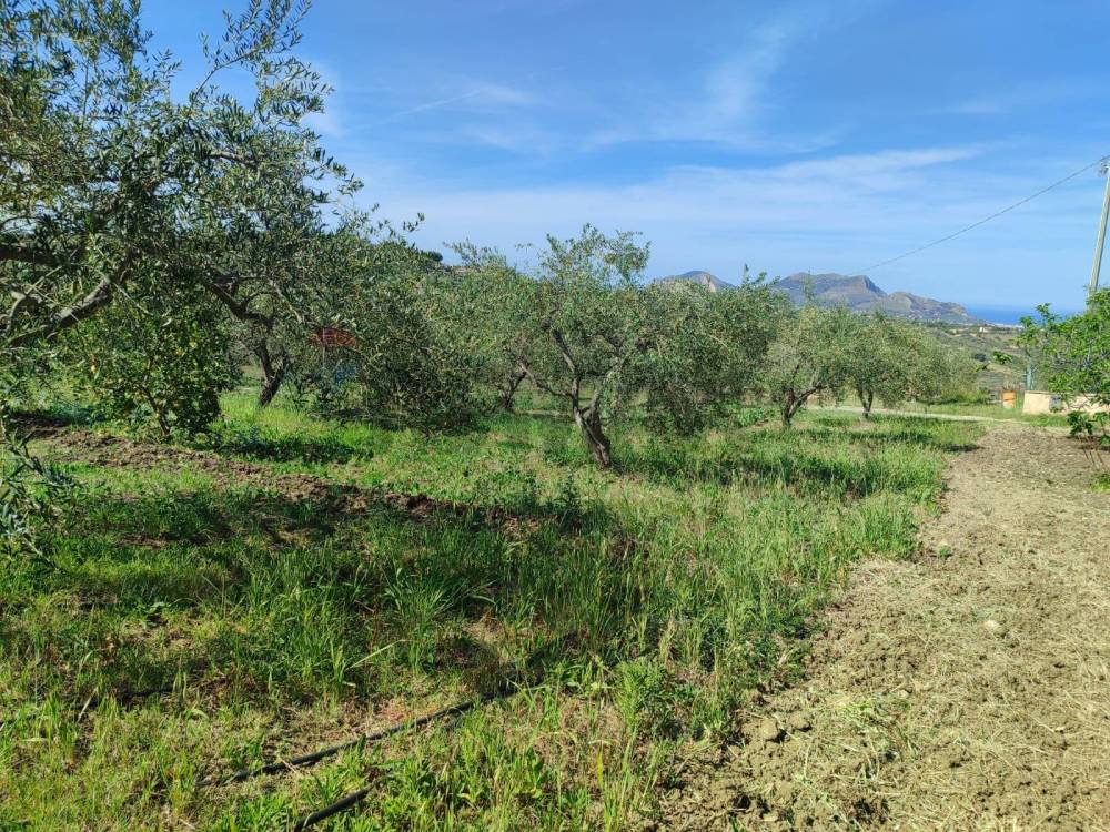 immagine annuncio 6 di 9