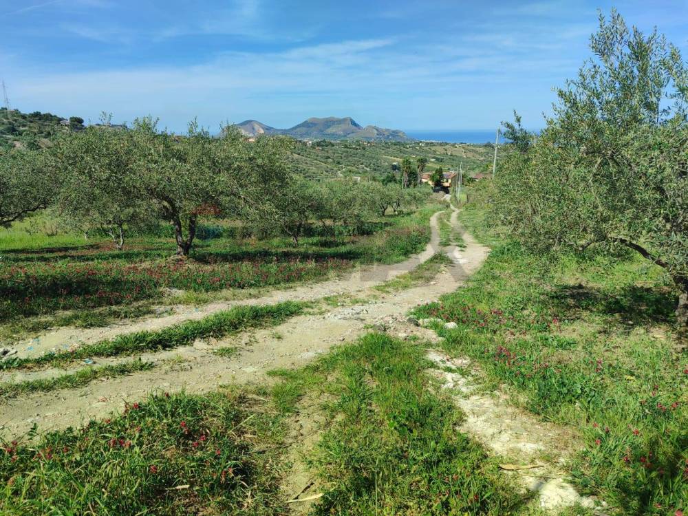 immagine annuncio 8 di 9