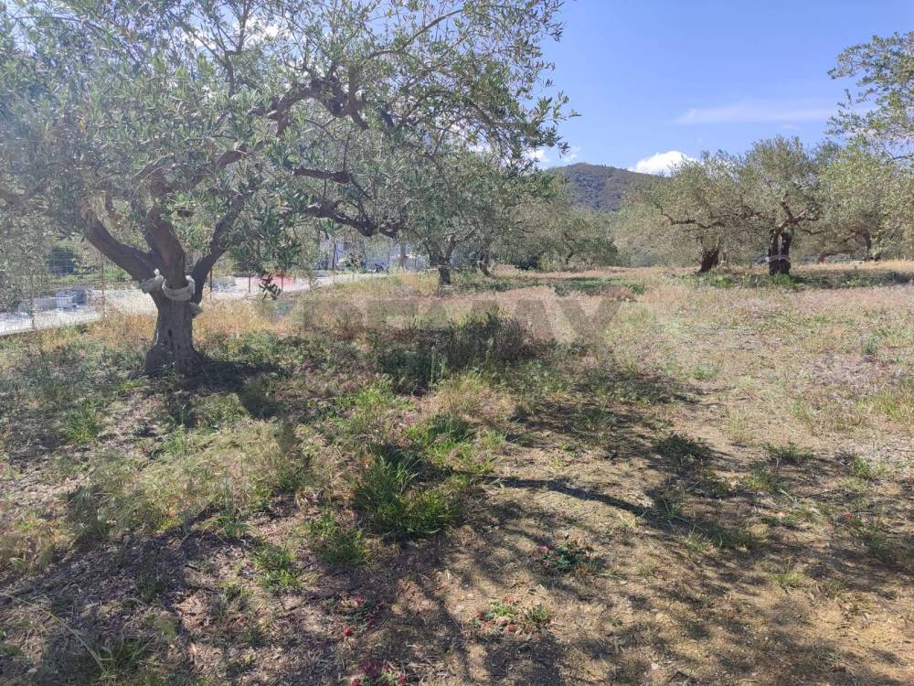 terreno agricolo in vendita a Casteldaccia