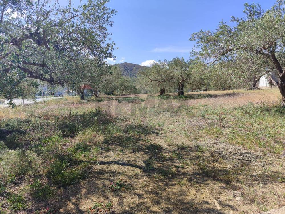 immagine annuncio 3 di 9