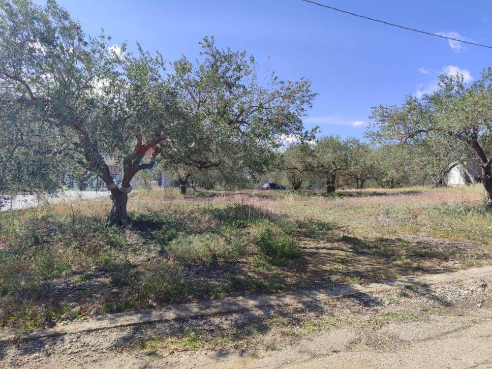 immagine annuncio 5 di 9