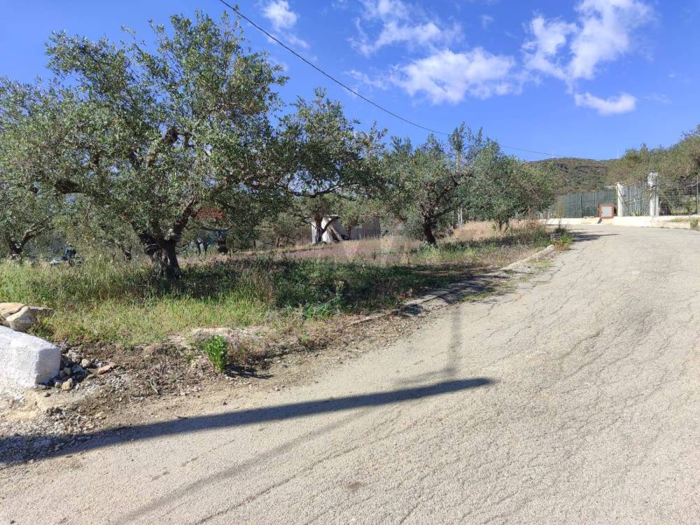 immagine annuncio 6 di 9