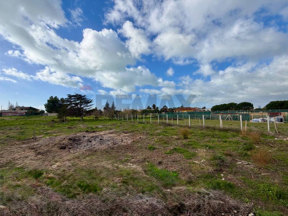 immagine annuncio 6 di 13