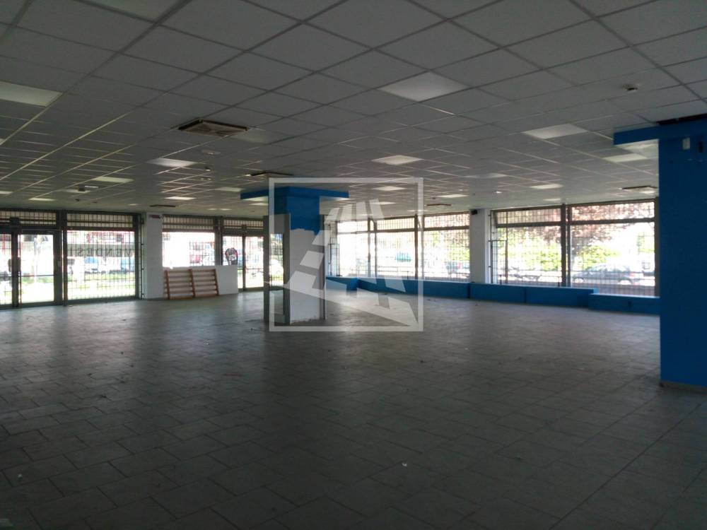 immagine annuncio 2 di 13