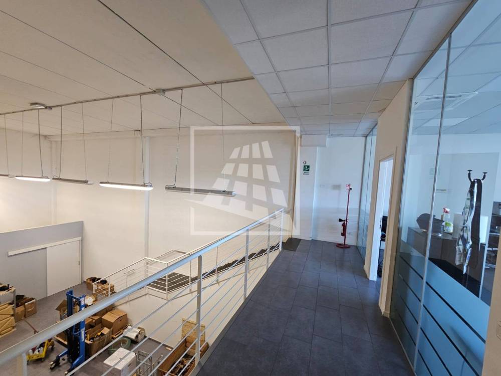 immagine annuncio 9 di 13