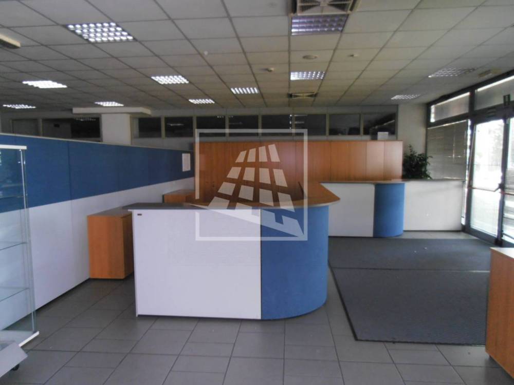 immagine annuncio 6 di 13