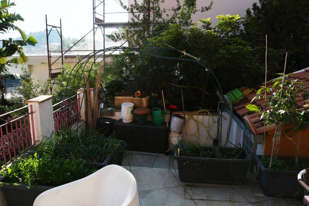 immagine annuncio 6 di 13