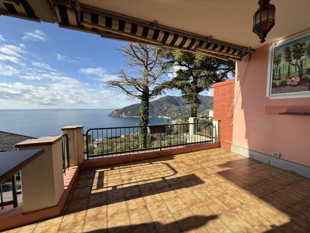 immagine annuncio 3 di 13