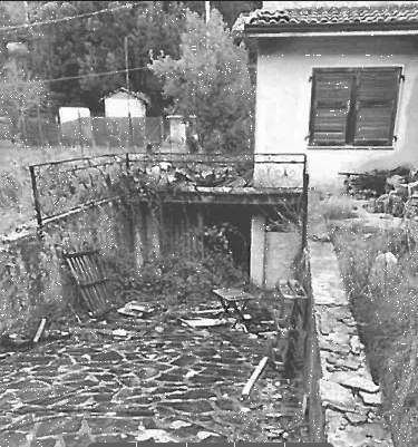 immagine annuncio 1 di 3