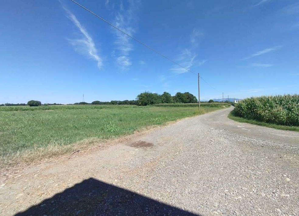 immagine annuncio 1 di 11