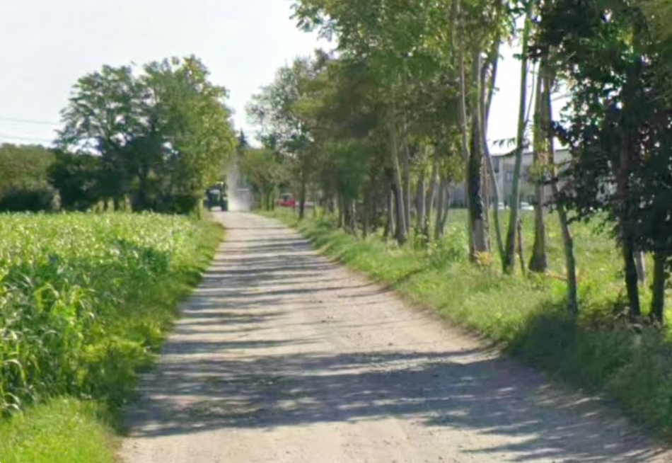 immagine annuncio 3 di 11