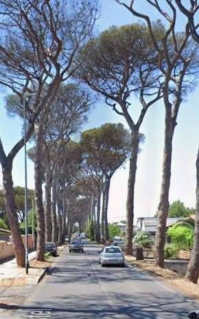 immagine annuncio 3 di 13