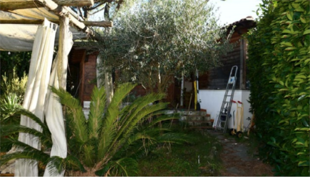 immagine annuncio 10 di 13