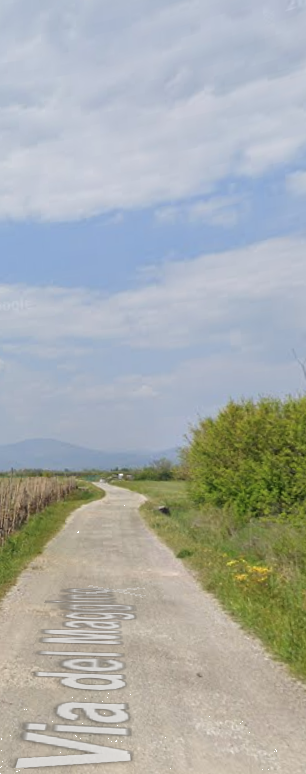 immagine annuncio 9 di 13