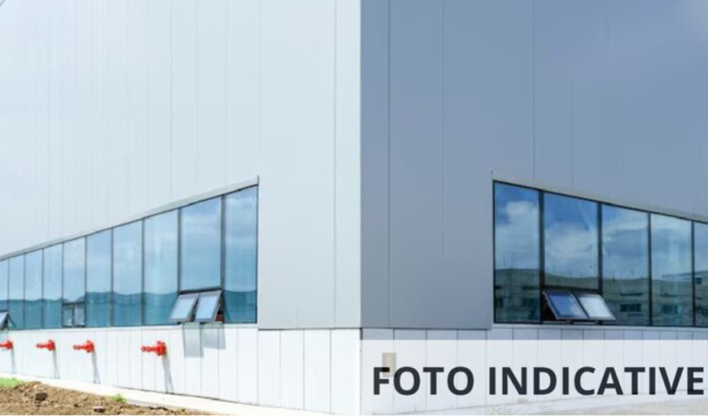 immagine annuncio 3 di 9