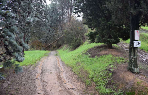 immagine annuncio 7 di 13