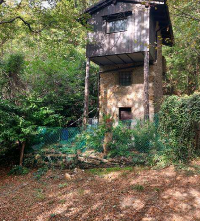 immagine annuncio 1 di 13