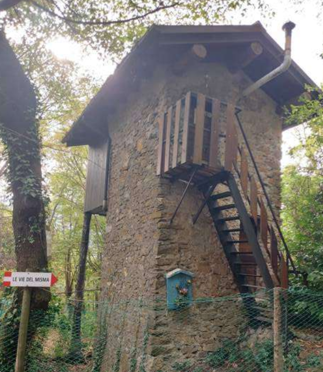 immagine annuncio 2 di 13