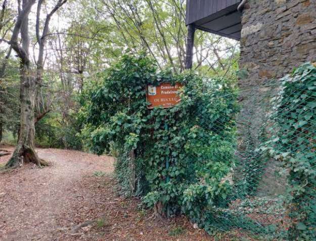 immagine annuncio 4 di 13