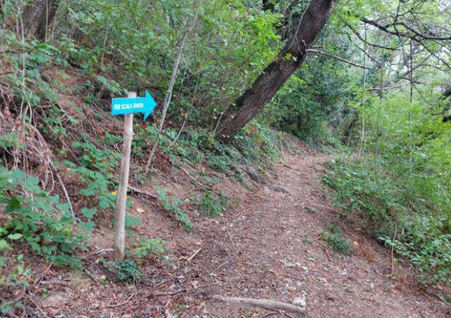 immagine annuncio 7 di 13