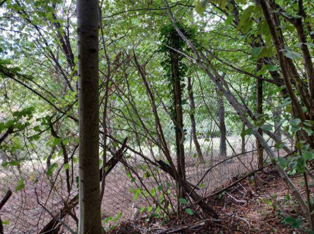 immagine annuncio 8 di 13