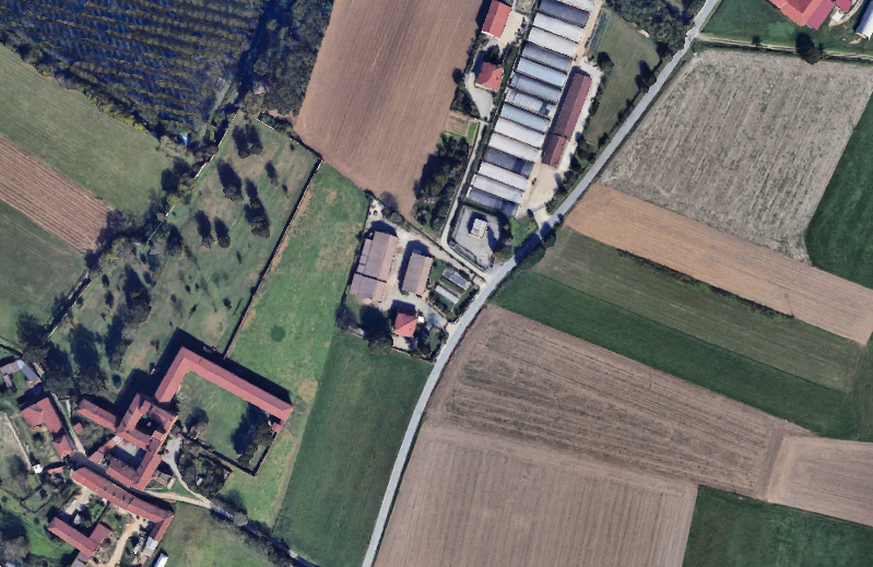 immagine annuncio 10 di 13