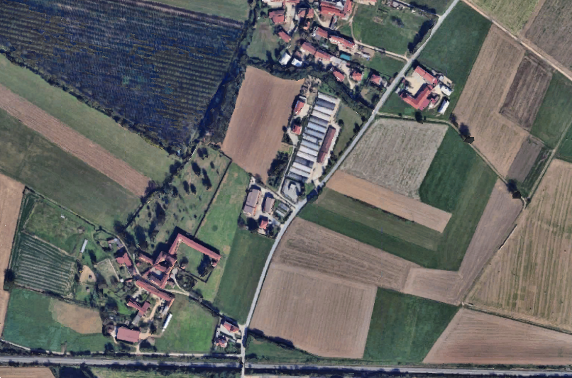 immagine annuncio 11 di 13