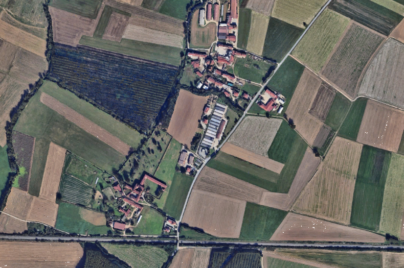 immagine annuncio 12 di 13