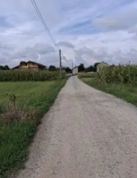 immagine annuncio 3 di 13