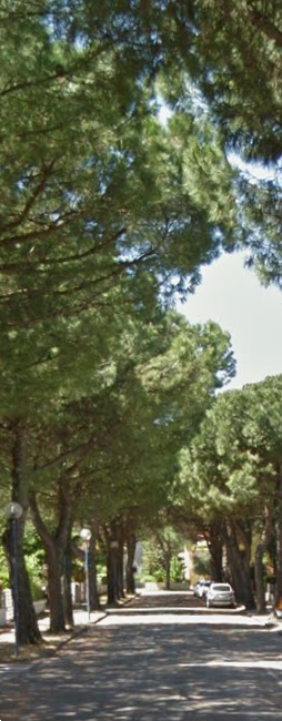 immagine annuncio 8 di 13